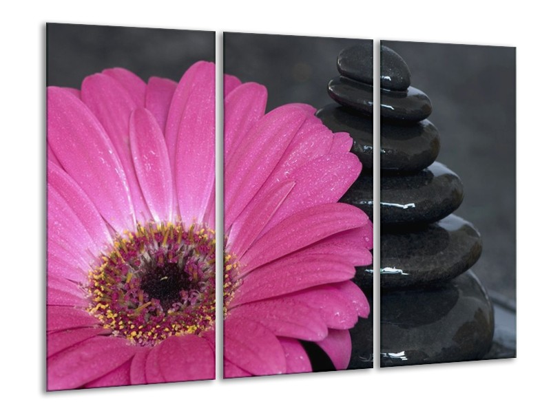 Canvas schilderij Bloem | Rood, Grijs, Zwart | 120x80cm 3Luik