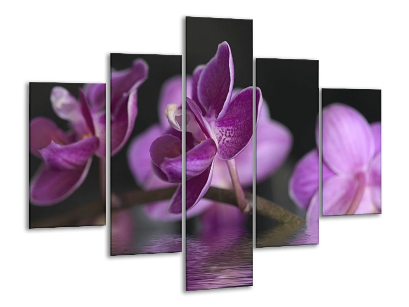Canvas schilderij Orchidee | Paars, Zwart | 100x70cm 5Luik