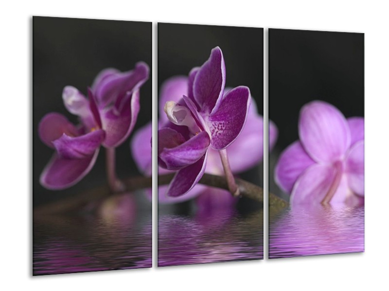 Canvas schilderij Orchidee | Paars, Zwart | 120x80cm 3Luik