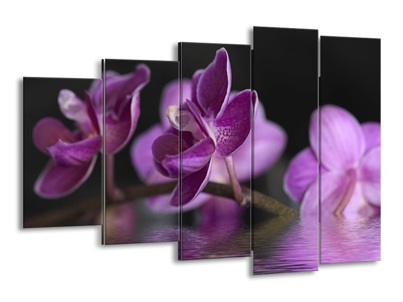 Canvas schilderij Orchidee | Paars, Zwart | 150x100cm 5Luik