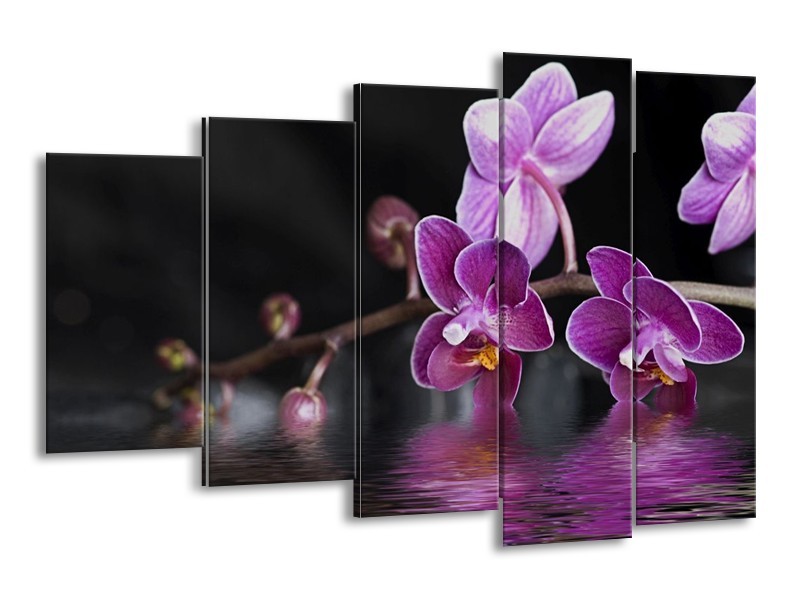 Canvas schilderij Orchidee | Paars, Zwart, Wit | 150x100cm 5Luik