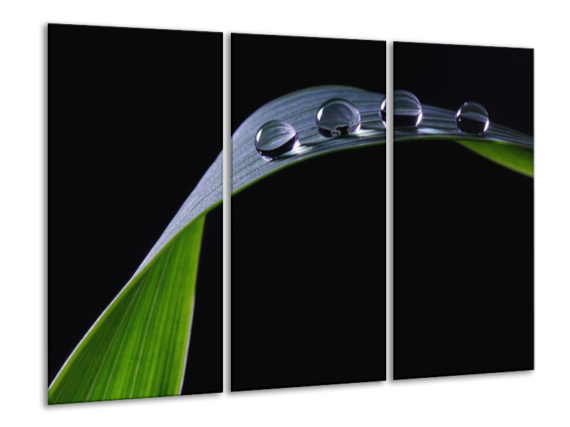 Canvas schilderij Druppels | Zwart, Groen, Grijs | 120x80cm 3Luik