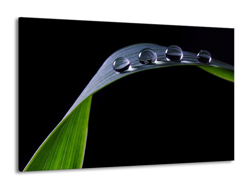 Canvas schilderij Druppels | Zwart, Groen, Grijs | 140x90cm 1Luik
