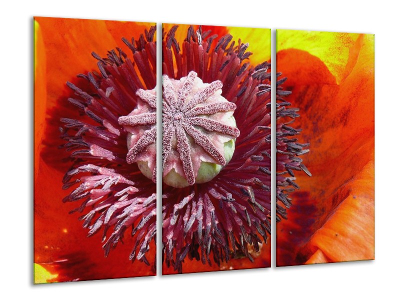 Canvas schilderij Bloem | Rood, Grijs, Wit | 120x80cm 3Luik