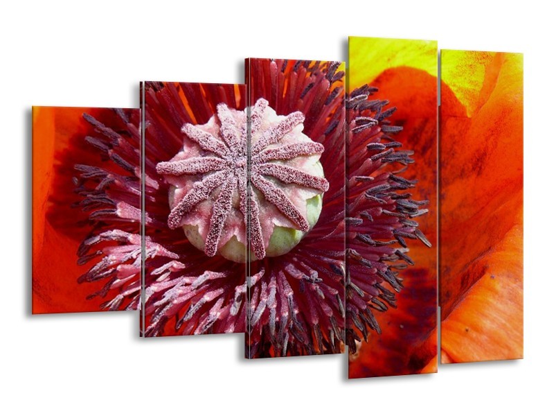 Canvas schilderij Bloem | Rood, Grijs, Wit | 150x100cm 5Luik