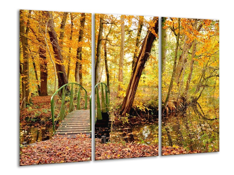 Canvas schilderij Natuur | Geel, Bruin, Groen | 120x80cm 3Luik