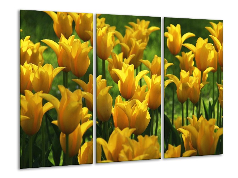 Canvas schilderij Tulpen | Geel, Groen | 120x80cm 3Luik