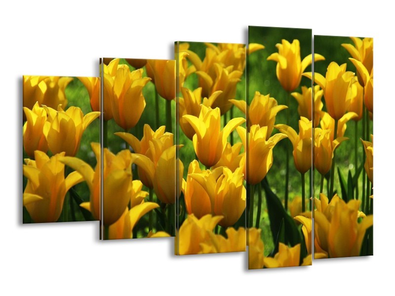 Canvas schilderij Tulpen | Geel, Groen | 150x100cm 5Luik