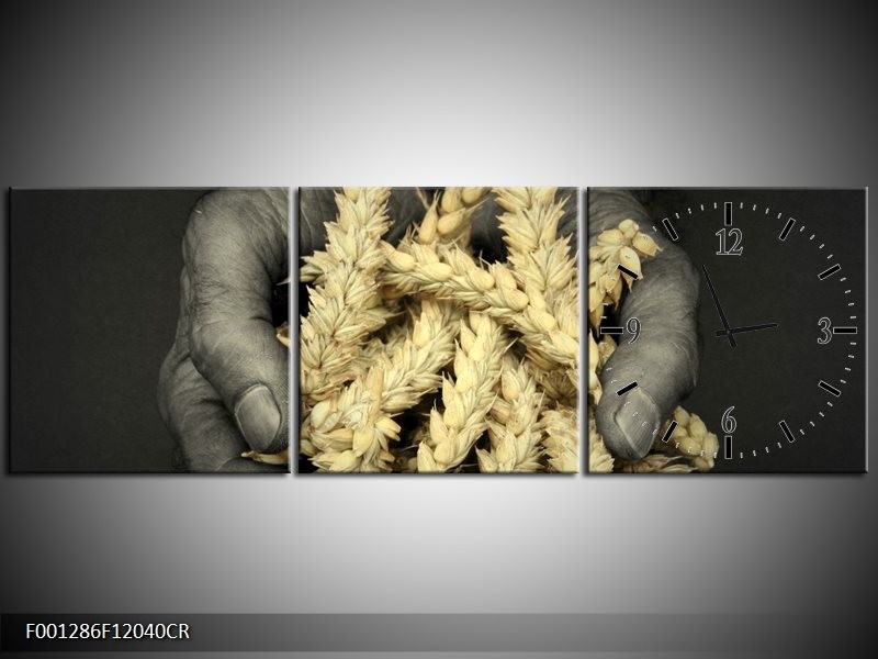 Klok schilderij Graan | Geel, Grijs, Zwart | 120x40cm 3Luik