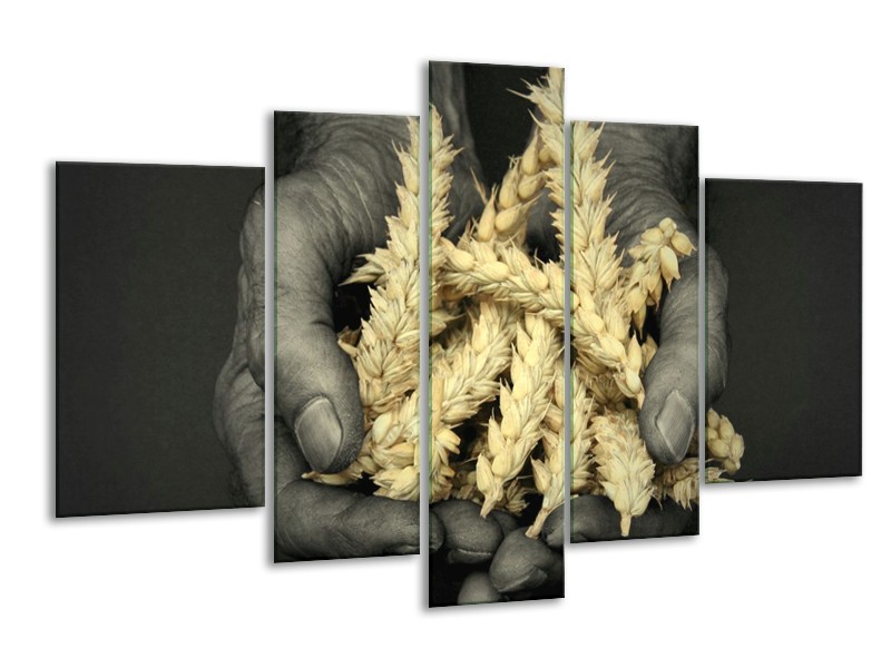 Canvas schilderij Graan | Geel, Grijs, Zwart | 170x100cm 5Luik