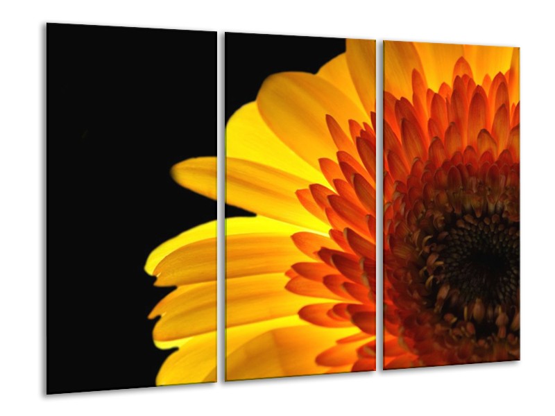 Canvas schilderij Bloem | Geel, Rood, Zwart | 120x80cm 3Luik