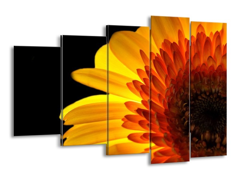 Canvas schilderij Bloem | Geel, Rood, Zwart | 150x100cm 5Luik