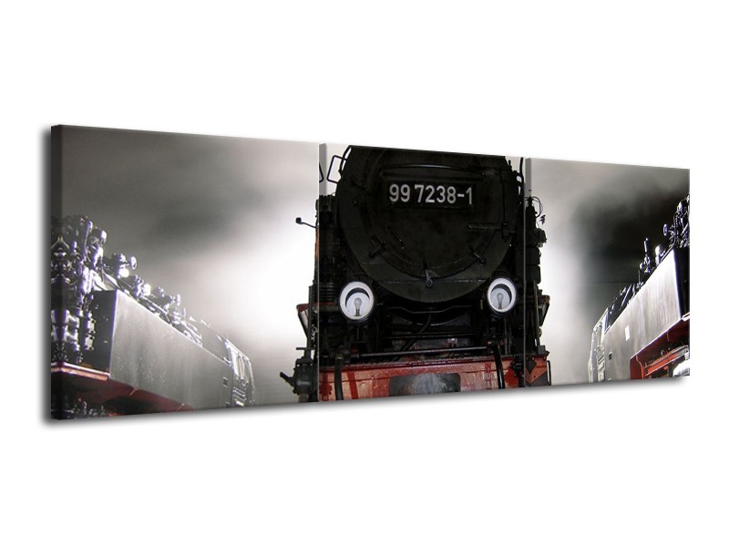 Glas schilderij Trein | Zwart, Wit, Grijs | 120x40cm 3Luik