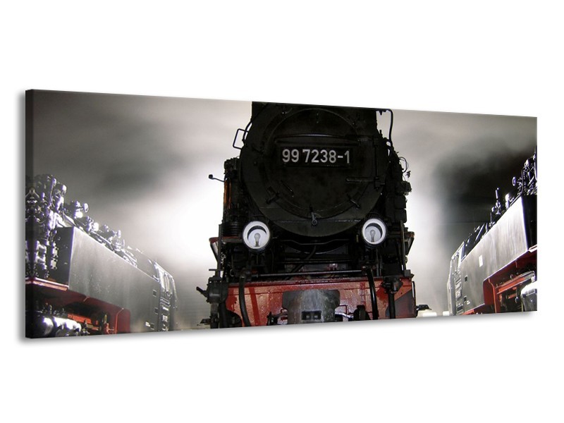 Glas schilderij Trein | Zwart, Wit, Grijs | 145x58cm 1Luik