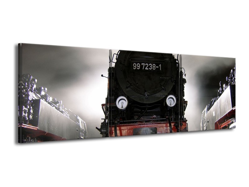 Glas schilderij Trein | Zwart, Wit, Grijs | 150x50cm 3Luik