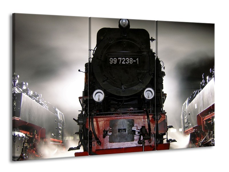 Glas schilderij Trein | Zwart, Wit, Grijs | 165x100cm 3Luik