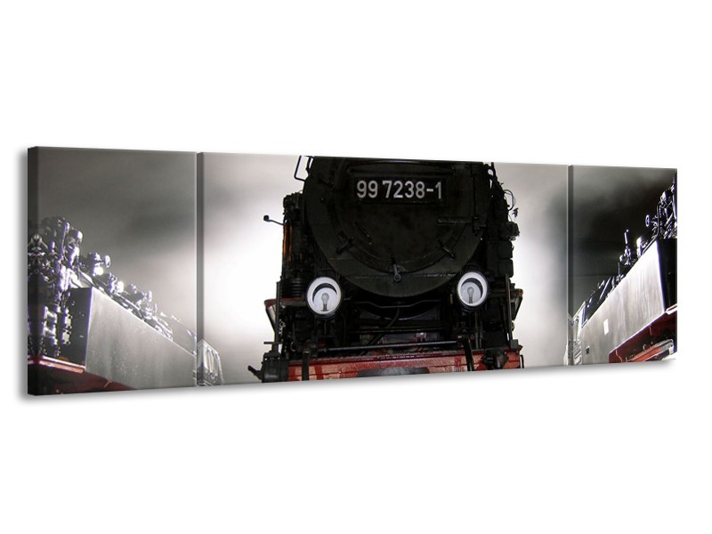 Glas schilderij Trein | Zwart, Wit, Grijs | 170x50cm 3Luik
