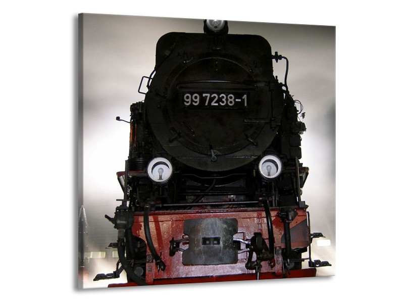 Glas schilderij Trein | Zwart, Wit, Grijs | 50x50cm 1Luik