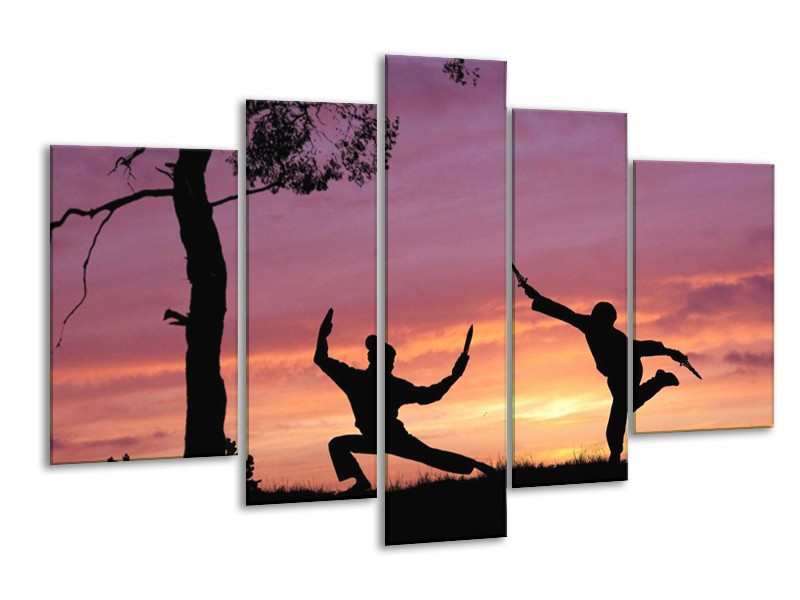 Canvas schilderij Sport | Paars, Wit, Geel | 170x100cm 5Luik