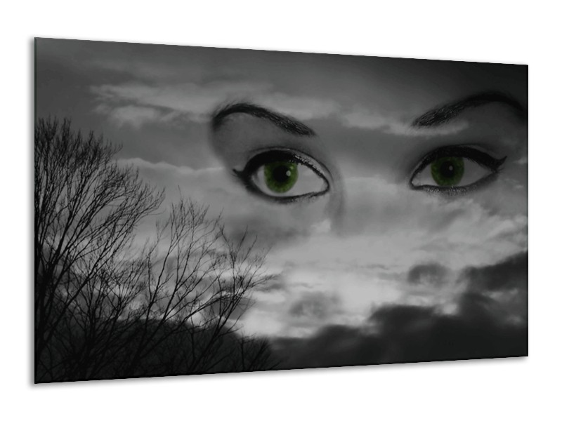 Canvas schilderij Ogen | Zwart, Grijs, Wit | 120x70cm 1Luik
