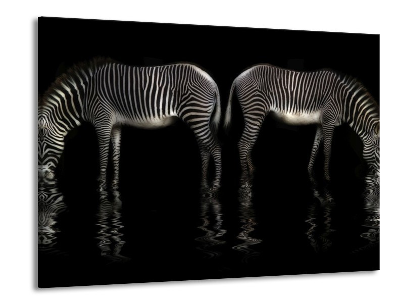 Glas schilderij Zebra | Zwart, Wit | 100x70cm 1Luik