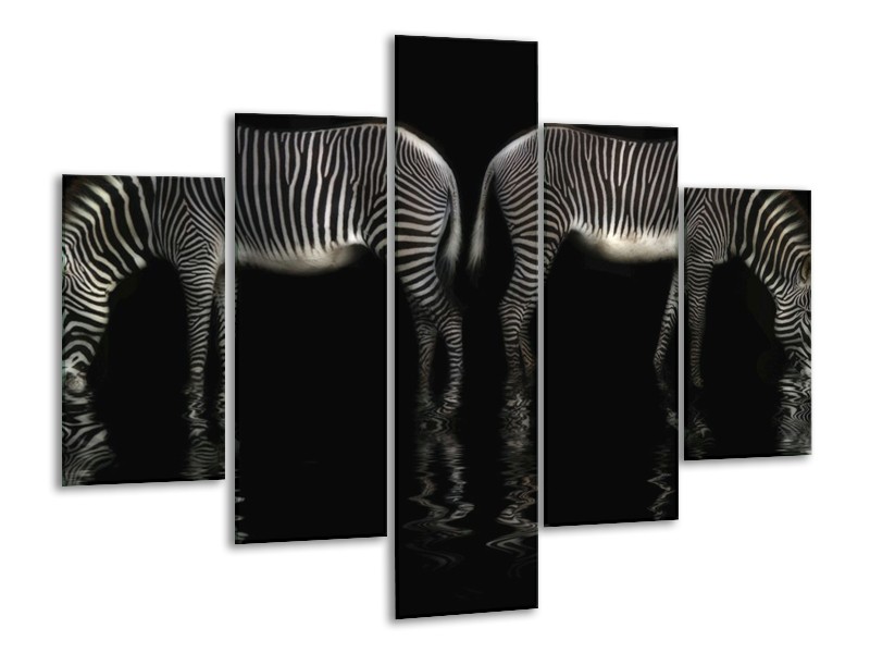 Canvas schilderij Zebra | Zwart, Wit | 100x70cm 5Luik