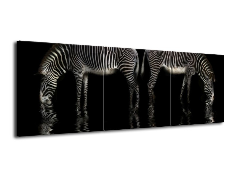 Canvas schilderij Zebra | Zwart, Wit | 120x40cm 3Luik