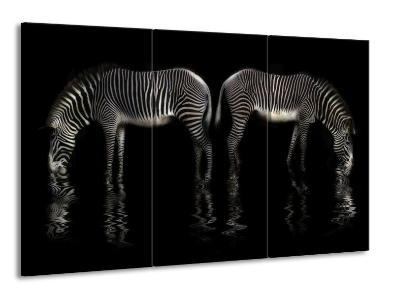 Canvas schilderij Zebra | Zwart, Wit | 165x100cm 3Luik