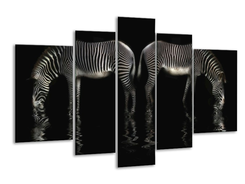 Canvas schilderij Zebra | Zwart, Wit | 170x100cm 5Luik