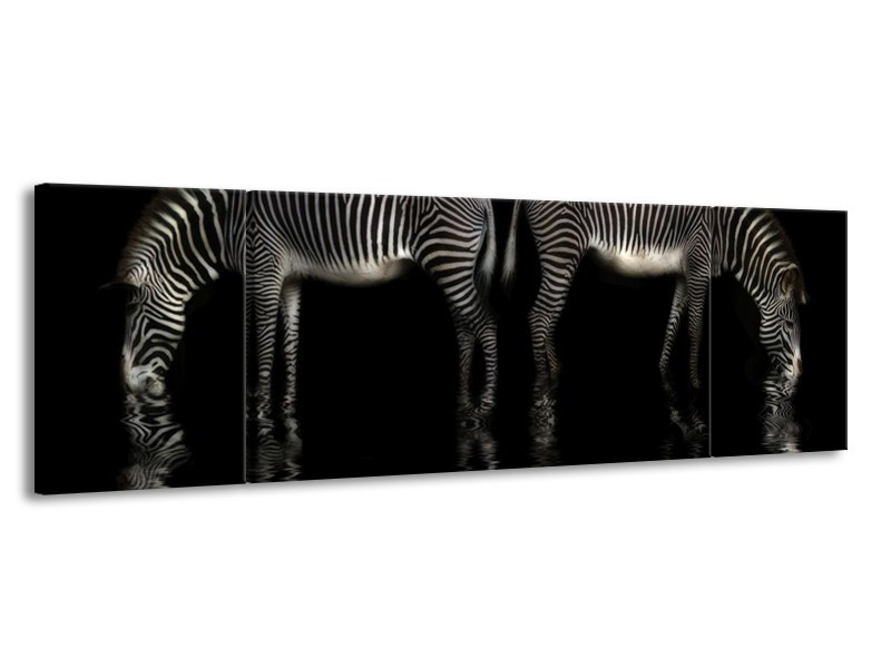 Canvas schilderij Zebra | Zwart, Wit | 170x50cm 3Luik