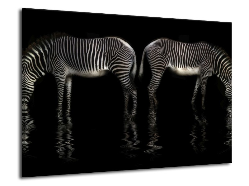Canvas schilderij Zebra | Zwart, Wit | 70x50cm 1Luik