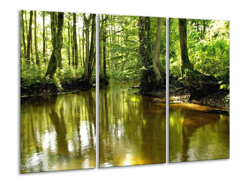 Canvas schilderij Natuur | Groen, Bruin | 120x80cm 3Luik