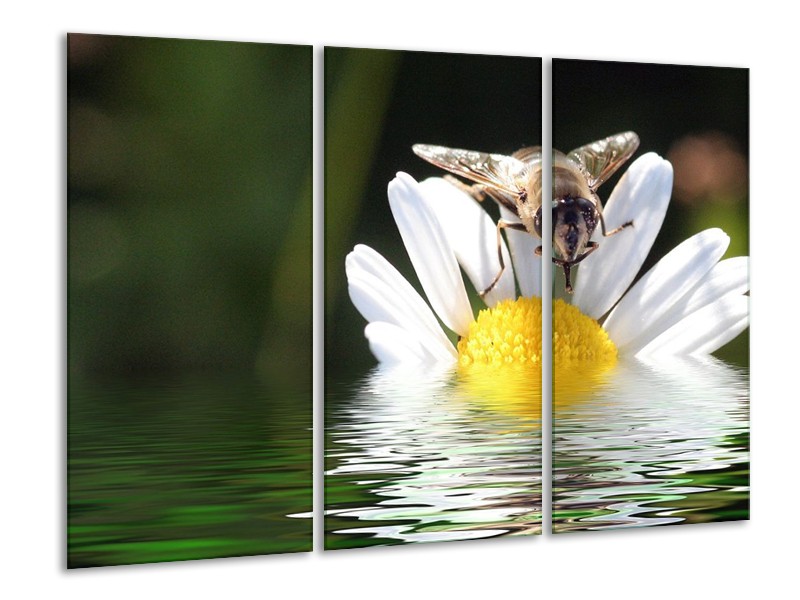 Canvas schilderij Natuur | Geel, Wit, Grijs | 120x80cm 3Luik