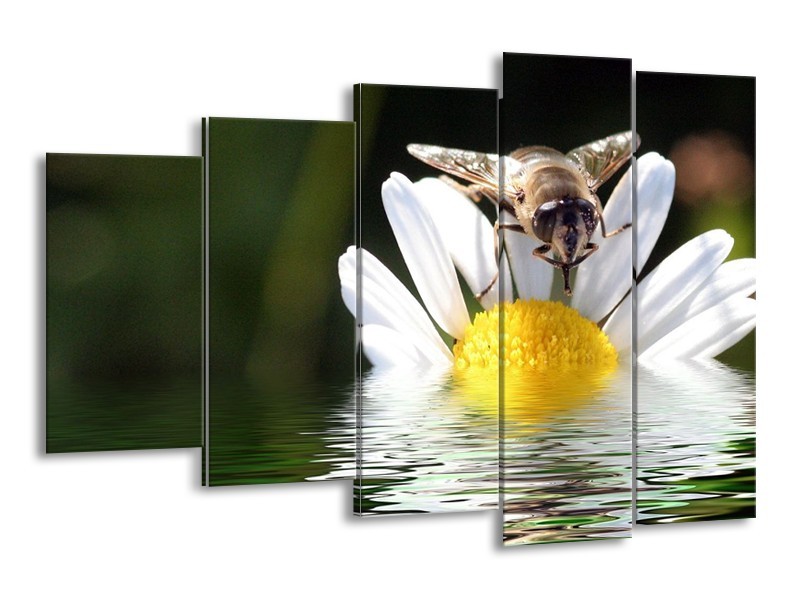 Canvas schilderij Natuur | Geel, Wit, Grijs | 150x100cm 5Luik