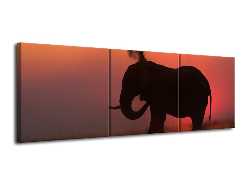 Glas schilderij Olifant | Rood, Zwart, Bruin | 120x40cm 3Luik