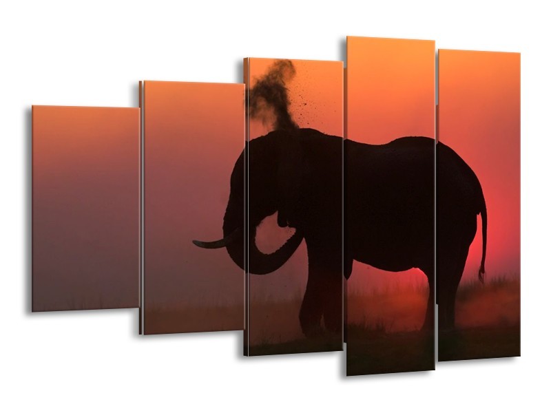 Glas schilderij Olifant | Rood, Zwart, Bruin | 150x100cm 5Luik