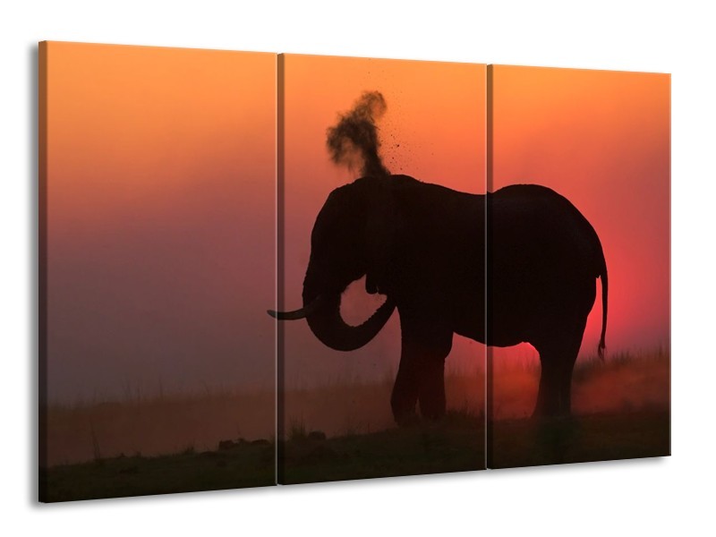 Glas schilderij Olifant | Rood, Zwart, Bruin | 165x100cm 3Luik