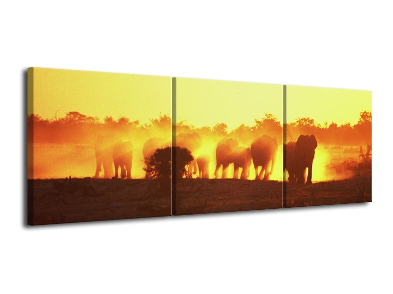 Glas schilderij Olifant | Geel, Oranje, Bruin | 120x40cm 3Luik