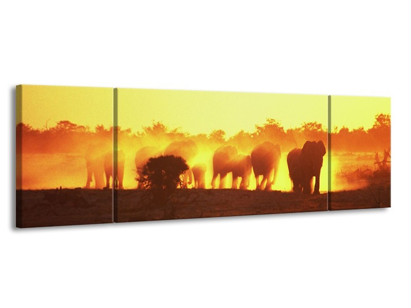 Canvas schilderij Olifant | Geel, Oranje, Bruin | 170x50cm 3Luik
