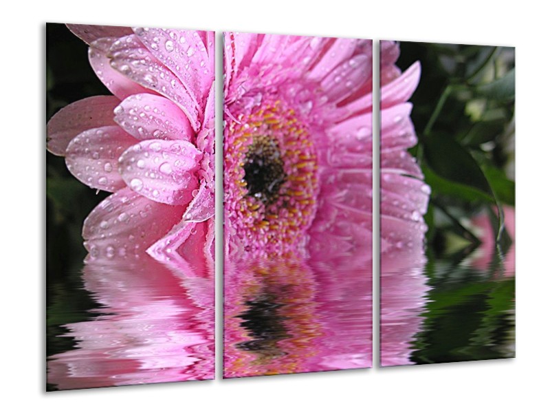 Canvas schilderij Bloem | Paars, Wit, Grijs | 120x80cm 3Luik