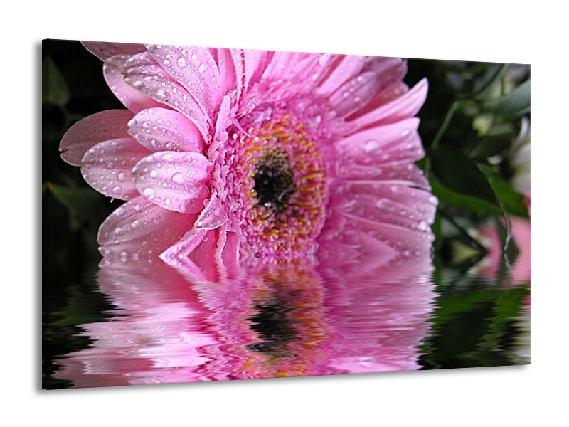 Canvas schilderij Bloem | Paars, Wit, Grijs | 140x90cm 1Luik