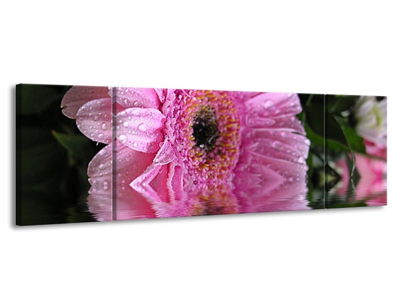 Glas schilderij Bloem | Paars, Wit, Grijs | 170x50cm 3Luik