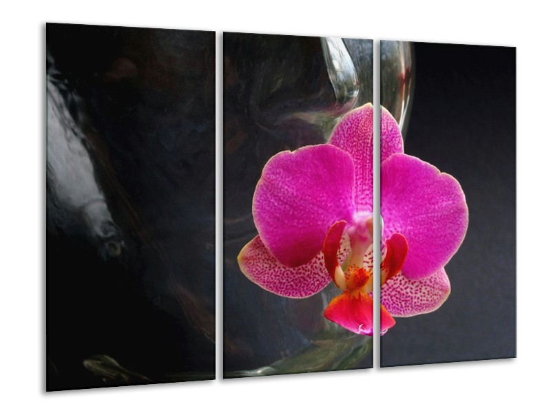 Canvas schilderij Orchidee | Rood, Zwart, Grijs | 120x80cm 3Luik