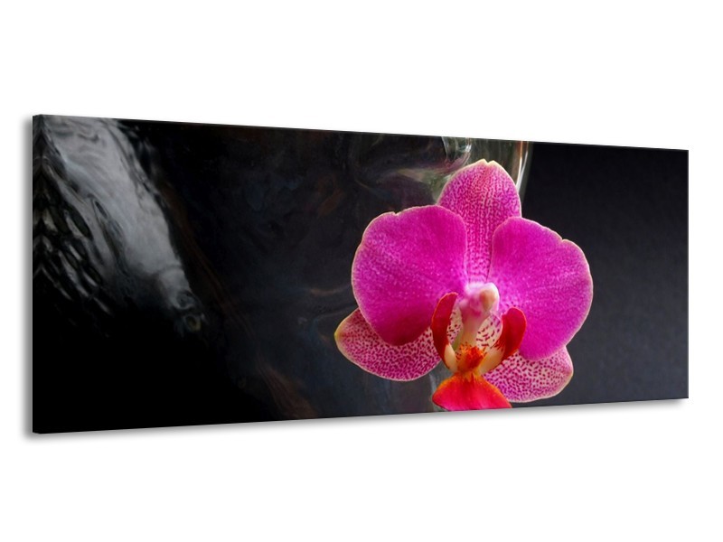Canvas schilderij Orchidee | Rood, Zwart, Grijs | 145x58cm 1Luik