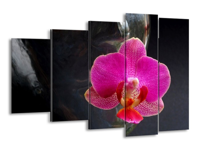 Canvas schilderij Orchidee | Rood, Zwart, Grijs | 150x100cm 5Luik