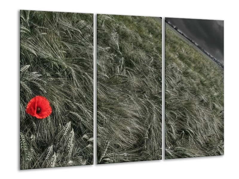 Canvas schilderij Gras | Grijs, Rood | 120x80cm 3Luik