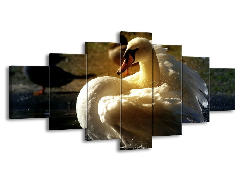 Canvas schilderij Zwaan | Wit, Geel, Grijs | 210x100cm 7Luik