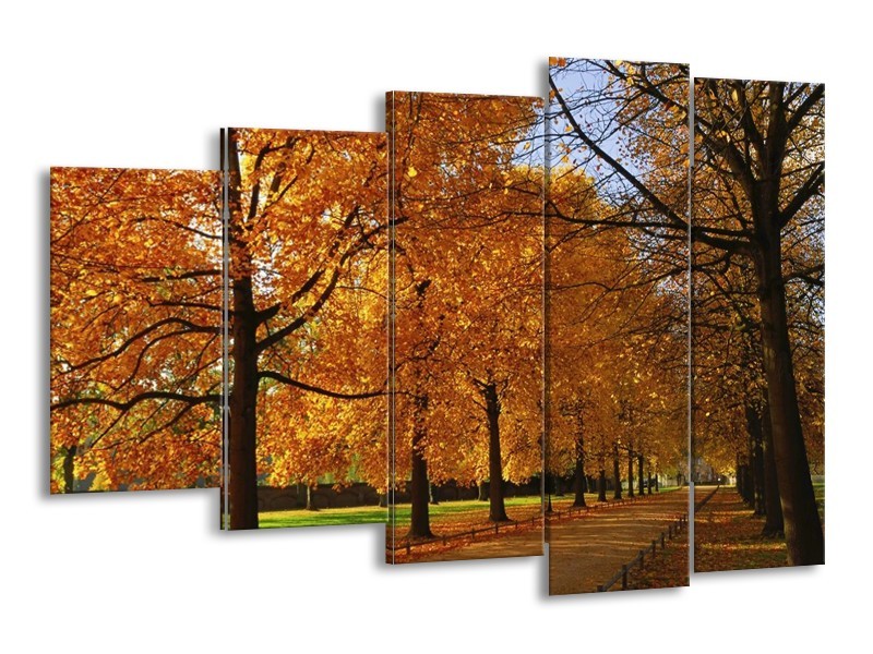 Glas schilderij Bomen | Geel, Oranje | 150x100cm 5Luik