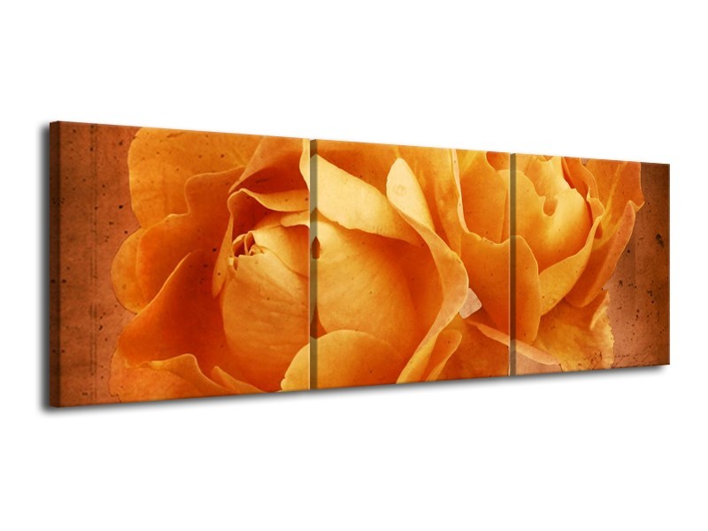 Canvas schilderij Roos | Bruin, Oranje, Geel | 120x40cm 3Luik
