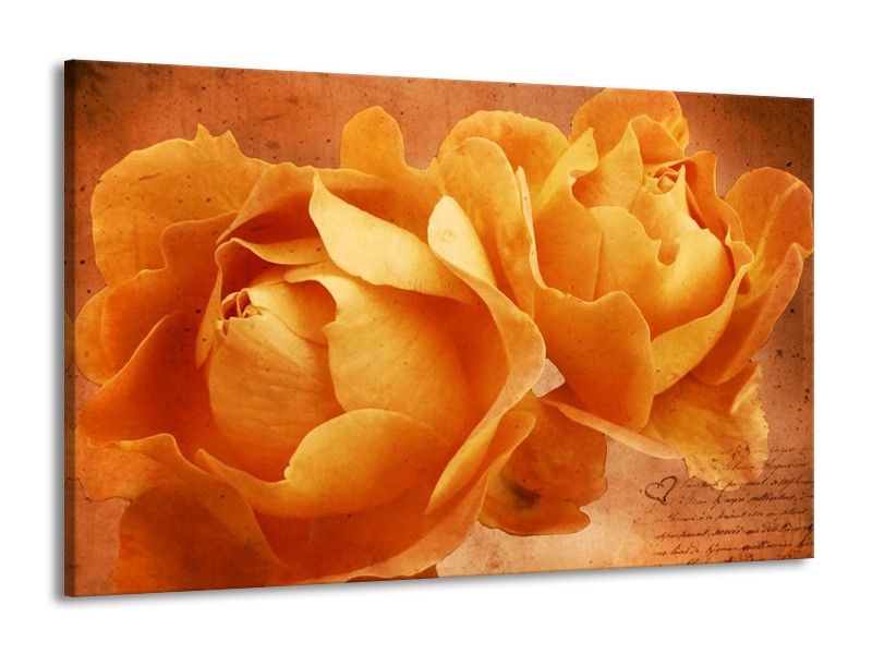 Canvas schilderij Roos | Bruin, Oranje, Geel | 140x90cm 1Luik